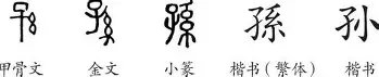 王楚钦孙颖莎婚纱照